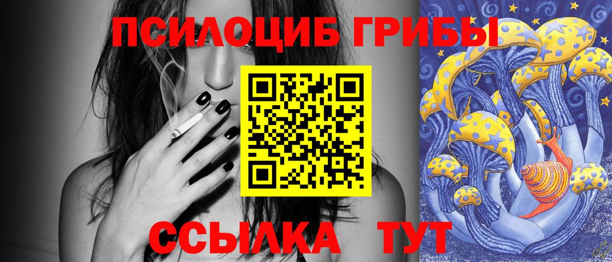 Буйнакск  Галлюциногенные грибы прущие грибы  Вход с VPN 