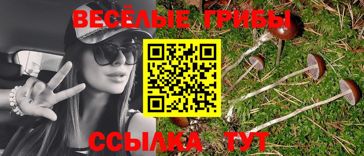 Псилоцибиновые грибы мухоморы Буйнакск